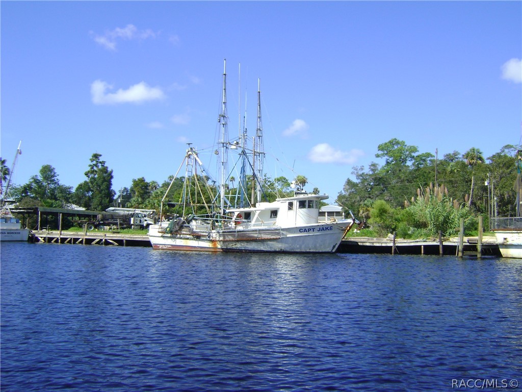 1504 North Foxboro Loop Crystal River, FL 34429 - Photo 42 of 52 Area Boating and Fishing