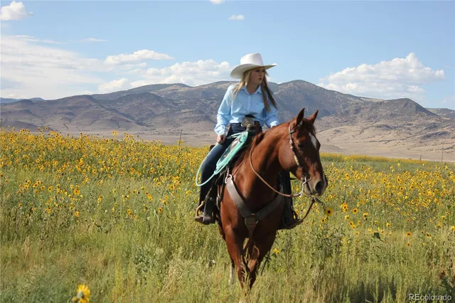 $4,750,000 | 51273 County Road X, Saguache, CO 81149