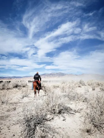 $4,750,000 | 51273 County Road X, Saguache, CO 81149