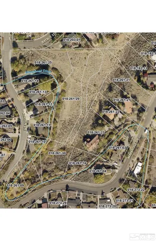 a black and white photo of a house