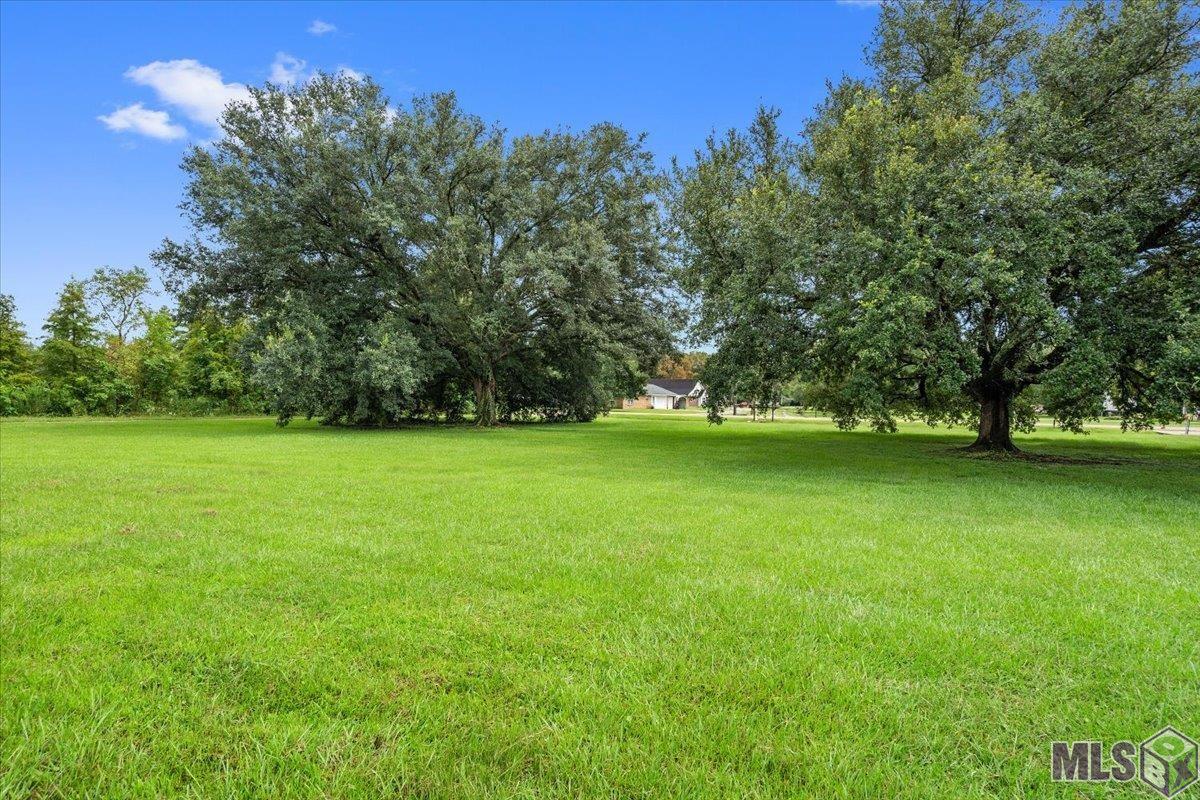 45198 Fontenot Road St. Amant, LA 70774 - Photo 20 of 28