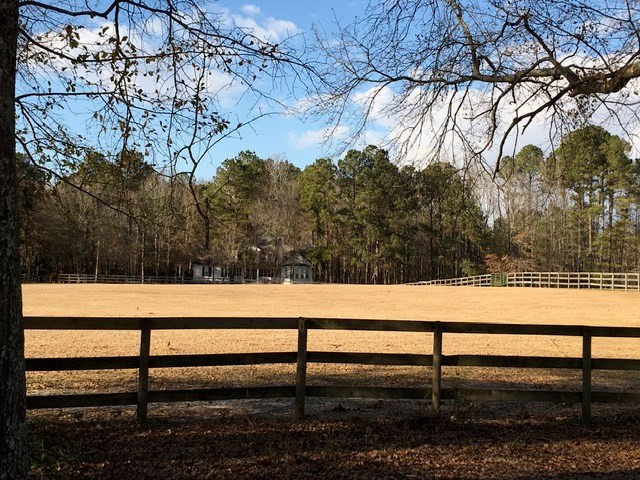 1201 Clayton Road Ridge Spring, SC 29129 - Photo 46 of 56