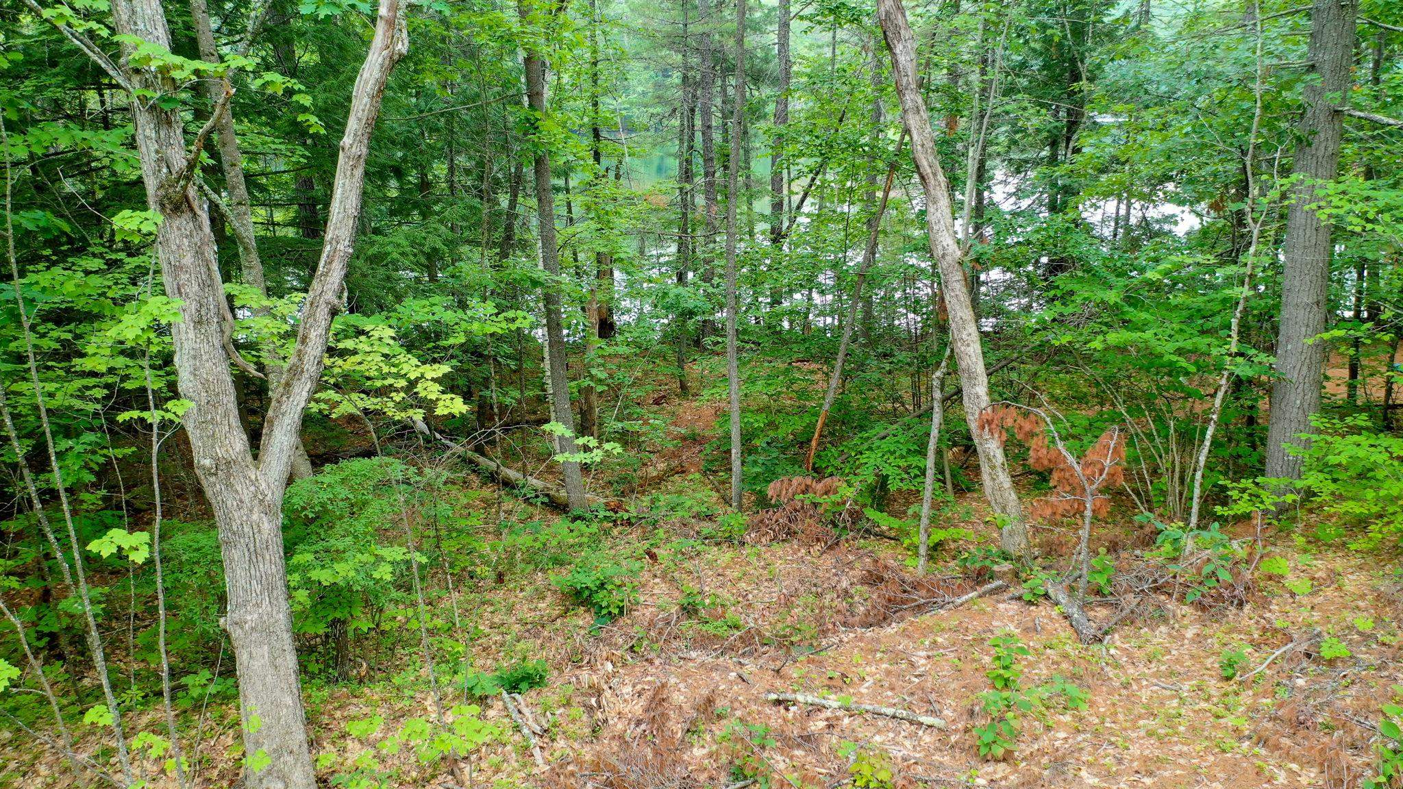 0 Apple Road Shapleigh, ME 04076 - Photo 15 of 17