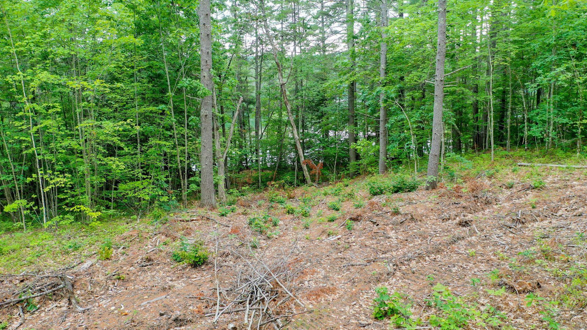 0 Apple Road Shapleigh, ME 04076 - Photo 16 of 17
