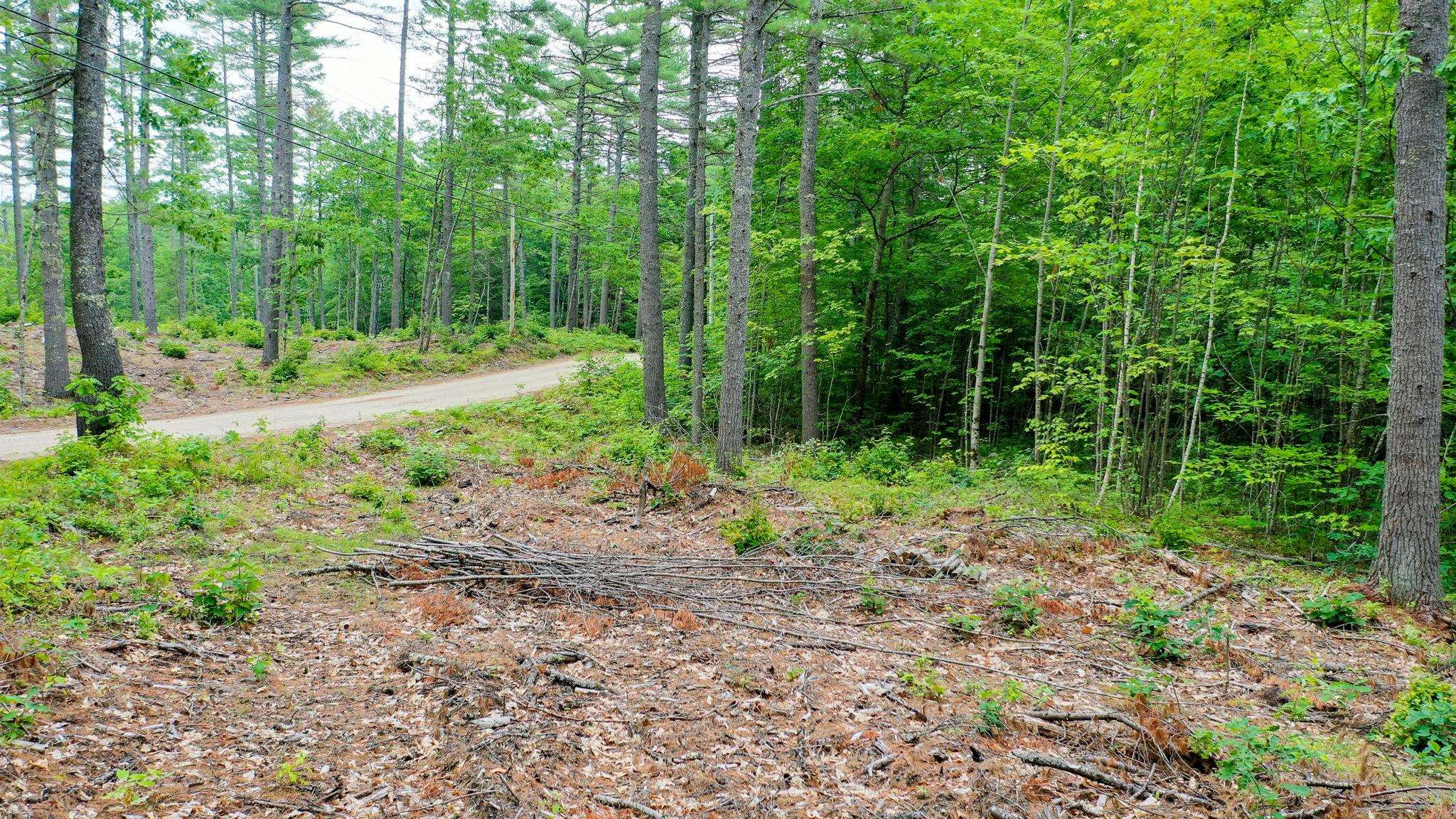 0 Apple Road Shapleigh, ME 04076 - Photo 17 of 17