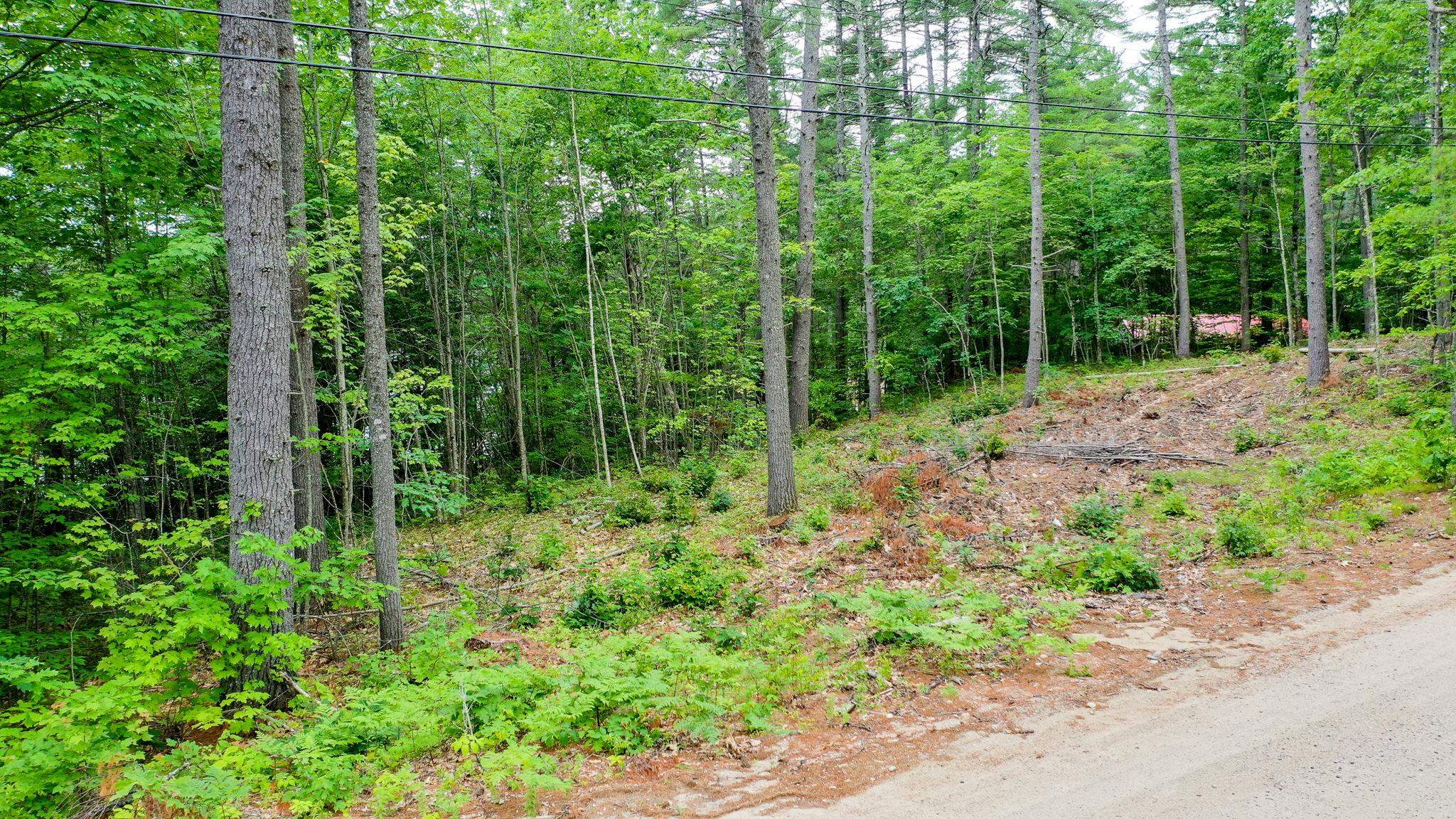 0 Apple Road Shapleigh, ME 04076 - Photo 3 of 17