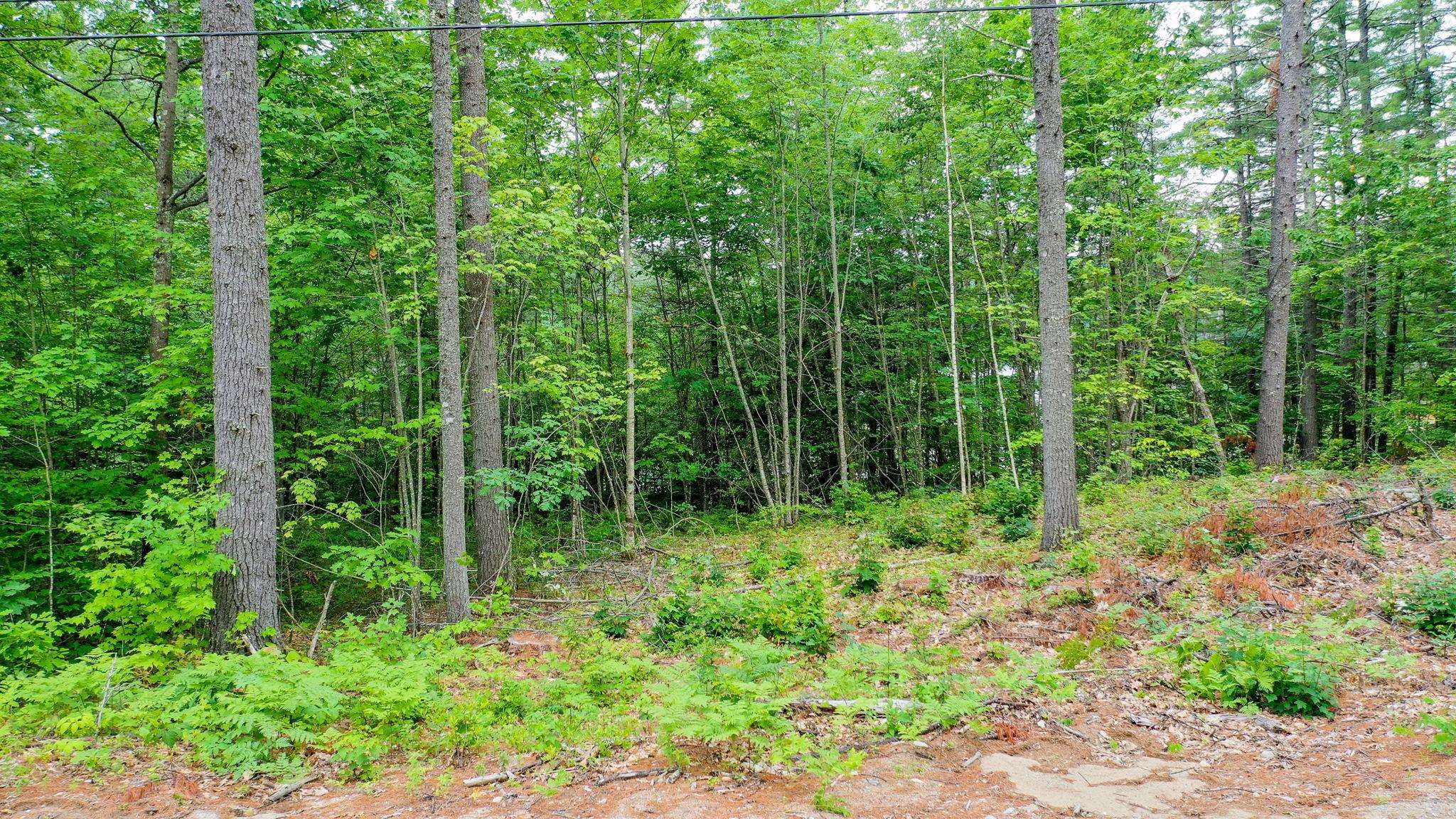 0 Apple Road Shapleigh, ME 04076 - Photo 4 of 17