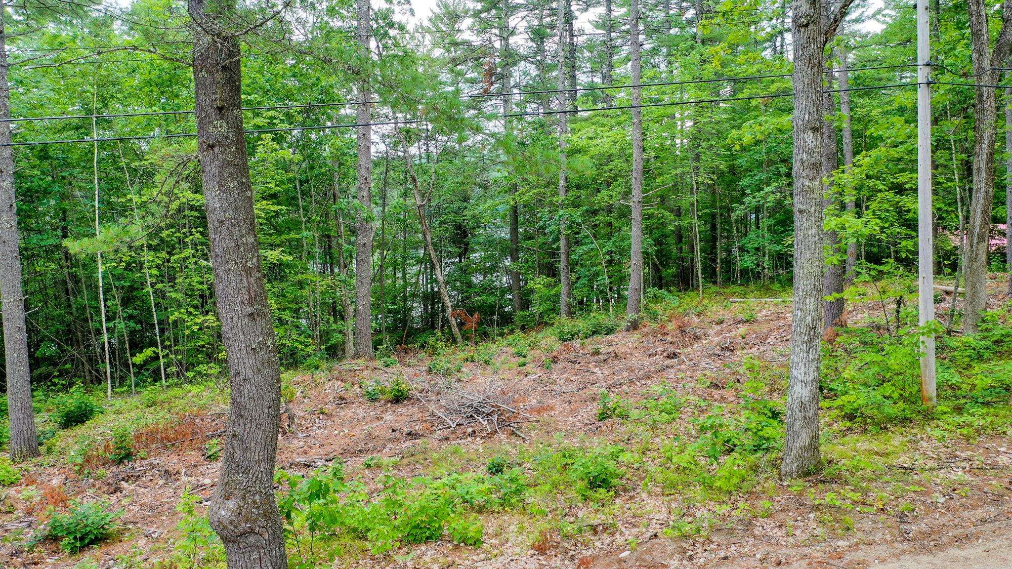 0 Apple Road Shapleigh, ME 04076 - Photo 5 of 17