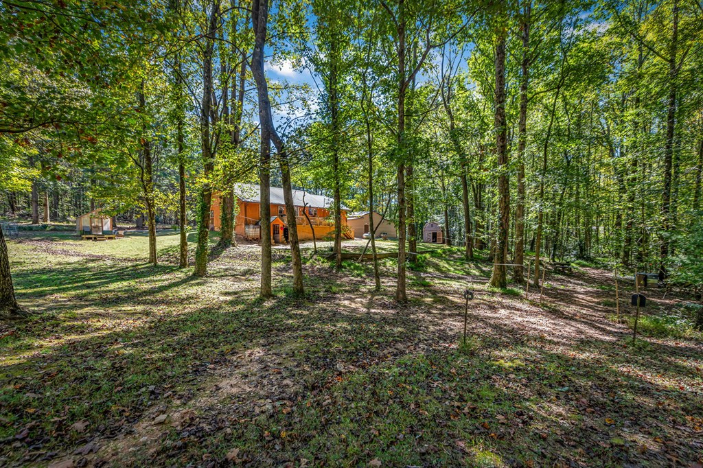 134 Ebenezer Road Ellijay, GA 30536 - Photo 76 of 85 a view of a park with a tree