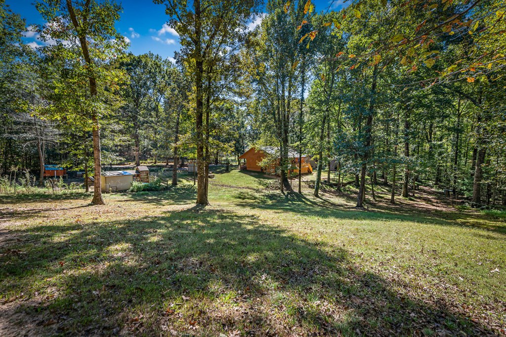 134 Ebenezer Road Ellijay, GA 30536 - Photo 81 of 85 5.79 acres of level and gentle rolling beautiful l