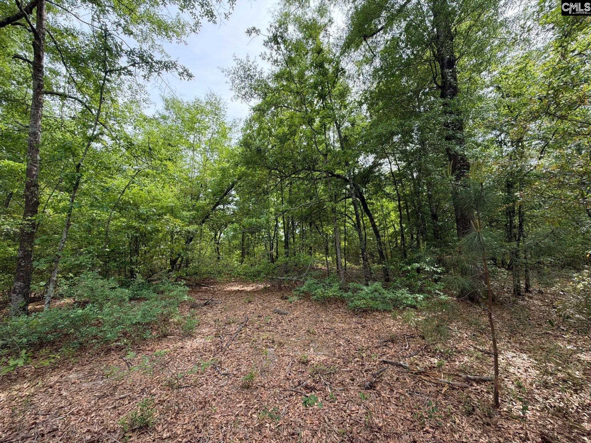 2 Rogers Cemetery Road Aiken, SC 29801 - Photo 21 of 26