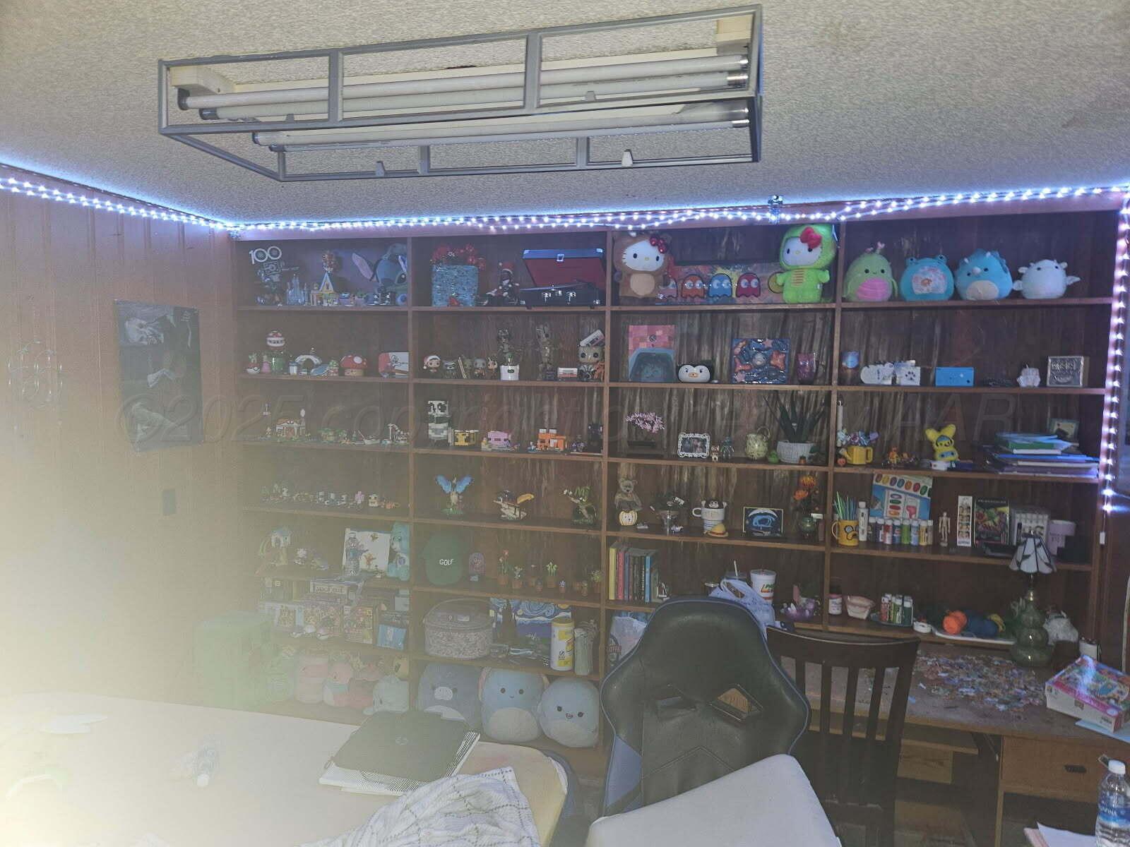 418 South Main Street Borger, TX 79007 - Photo 27 of 41 a bathroom with a potted plant