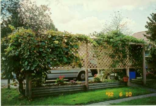 Yard/Garden. 