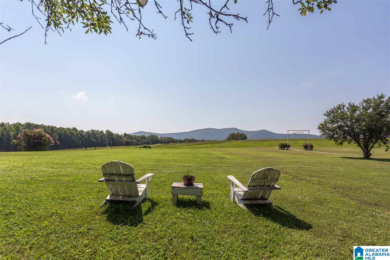 724 Jonesview Road Talladega, AL 35160 - Photo 45 of 50