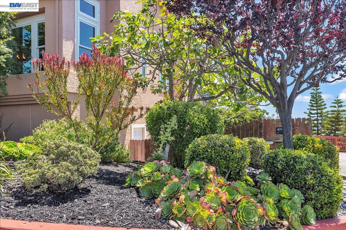 2433 Fox Ridge Drive Castro Valley, CA 94546 - Photo 13 of 76