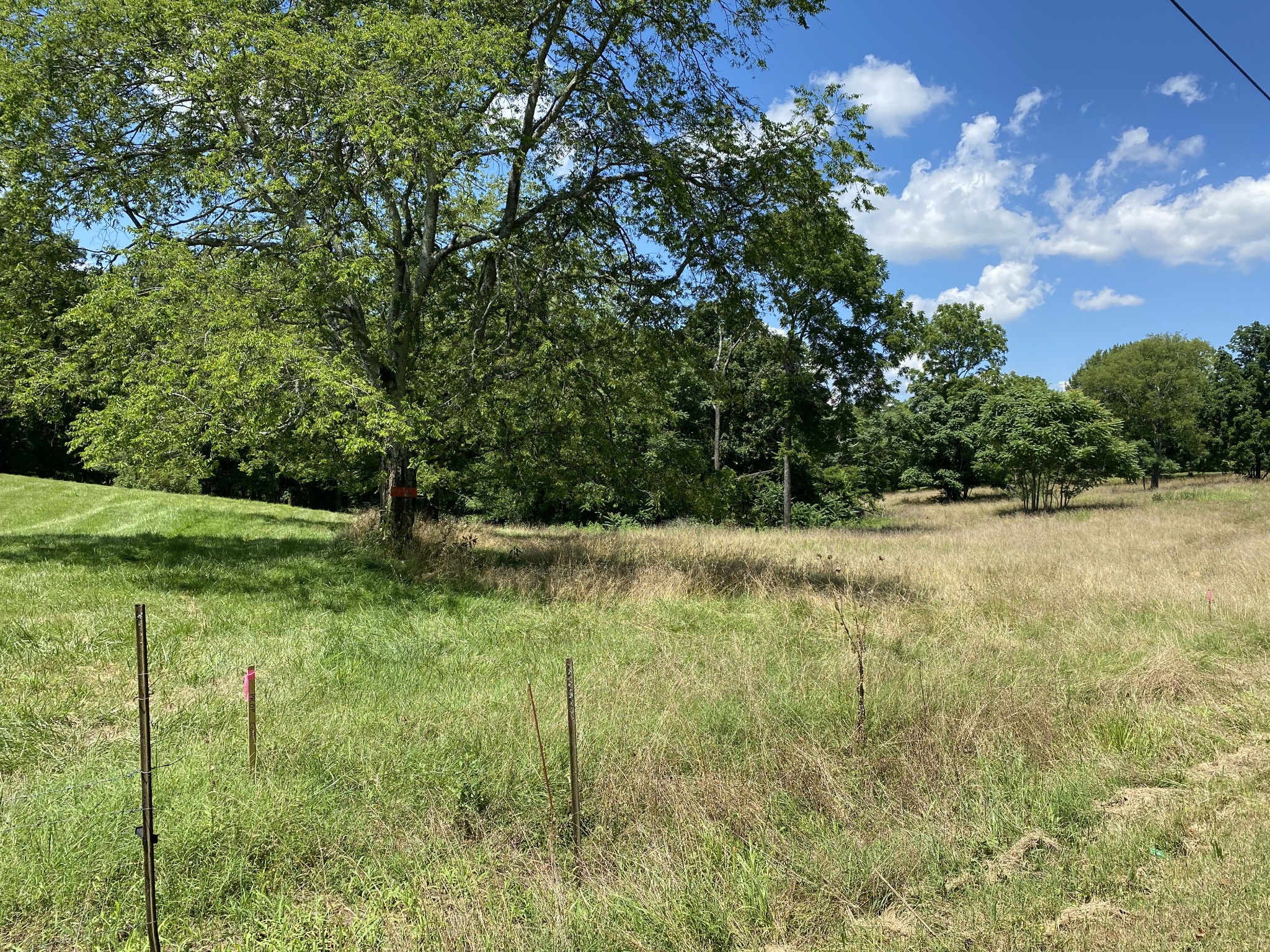 2278 Cairo Road Gallatin, TN 37066 - Photo 1 of 1 Gallery Image 1