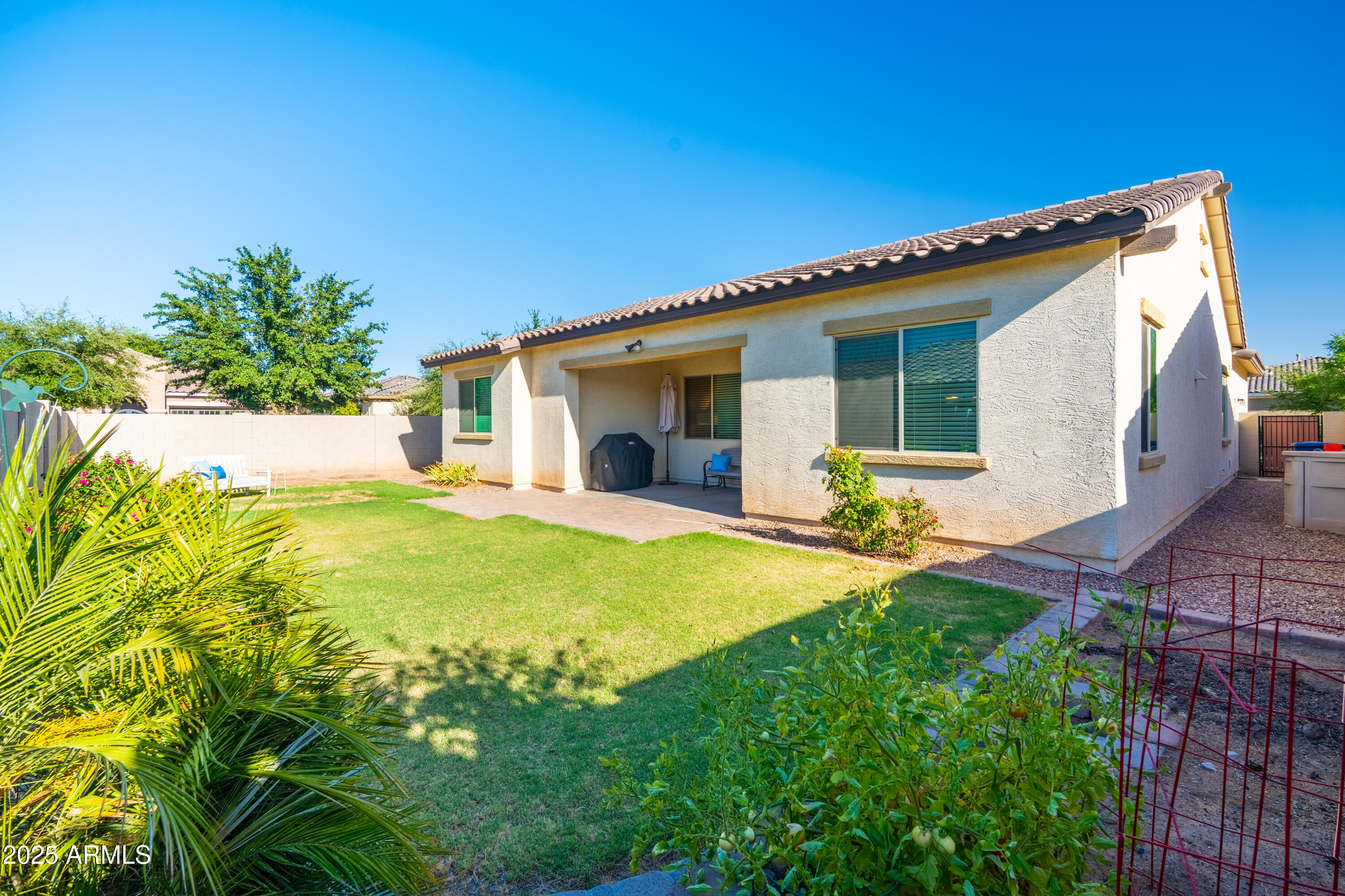 19598 Walnut Road Queen Creek, AZ 85142 - Photo 2 of 49 spacious back yard