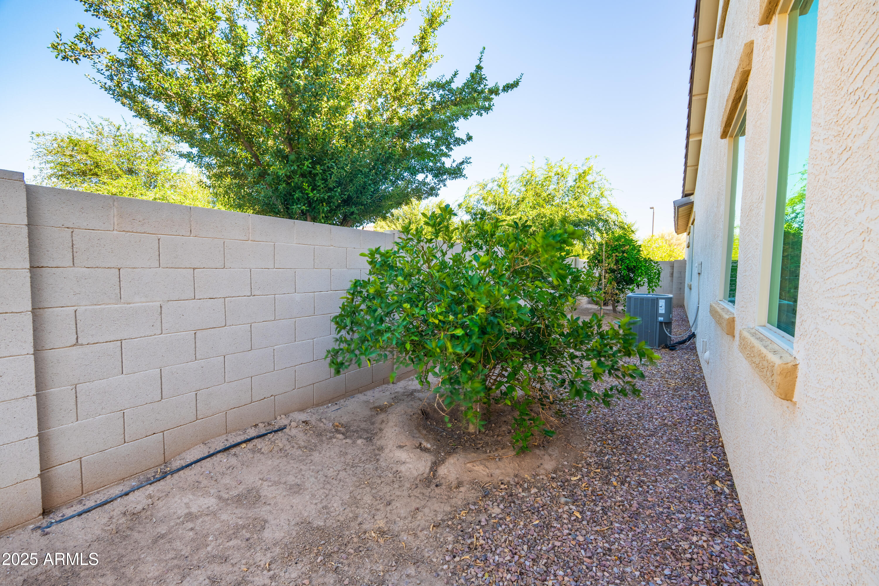 19598 Walnut Road Queen Creek, AZ 85142 - Photo 41 of 49 large east side yard
