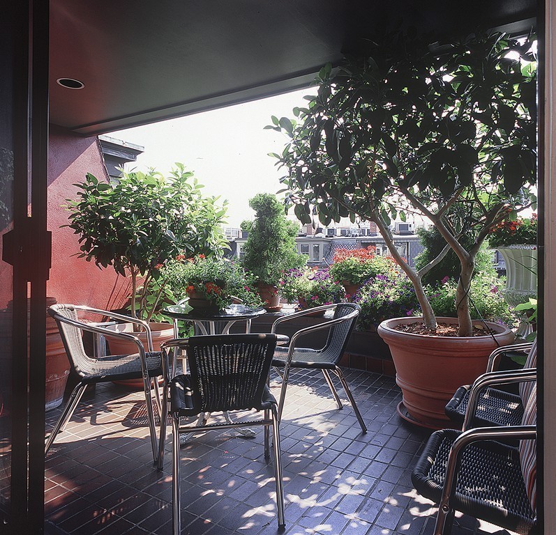51 Rutland Square, Unit 2 Boston, MA 02118 - Photo 10 of 24 Gallery Image 10