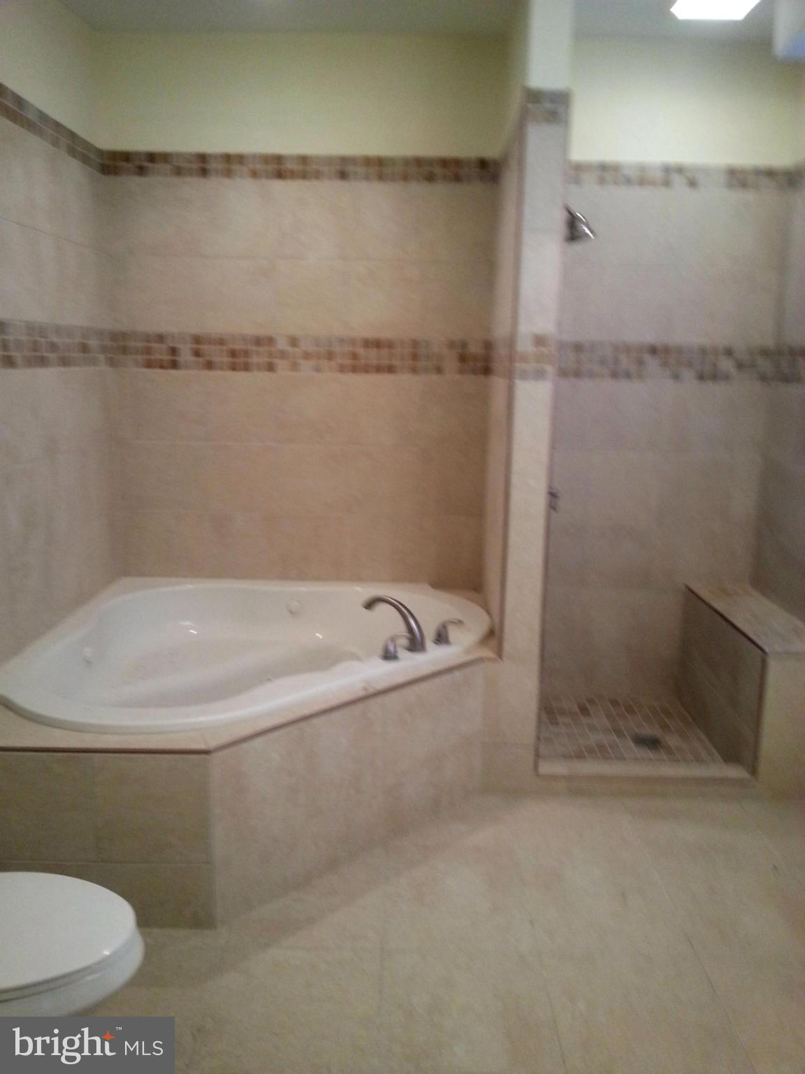 4000 Chatham Road Baltimore, MD 21207 - Photo 7 of 20 Bath (Master)