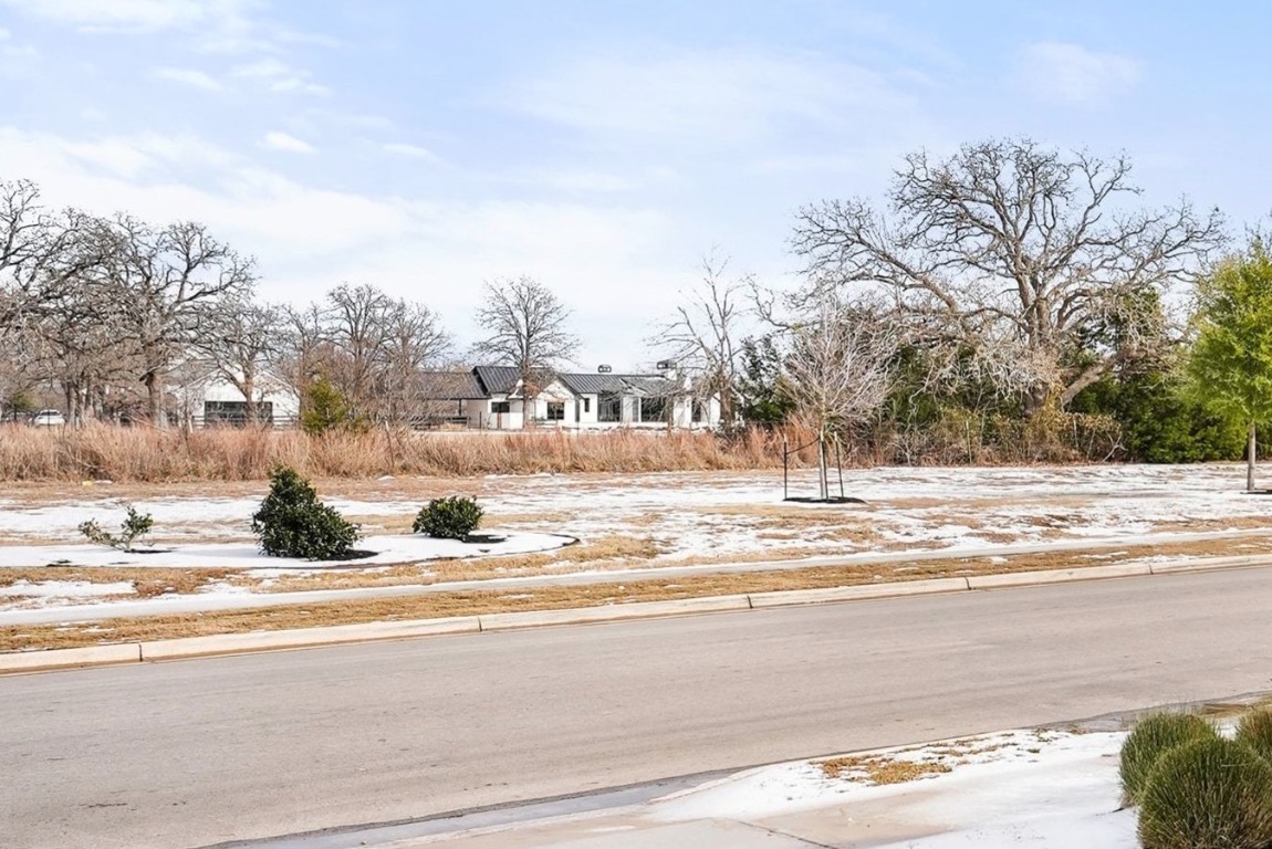113 Stone Cyn Drive Georgetown, TX 78628 - Photo 34 of 35 a view of a houses with snow on the road