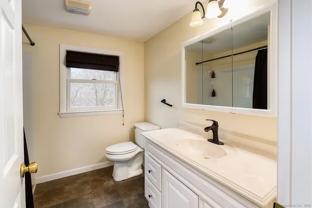a bathroom with a sink a toilet and a mirror