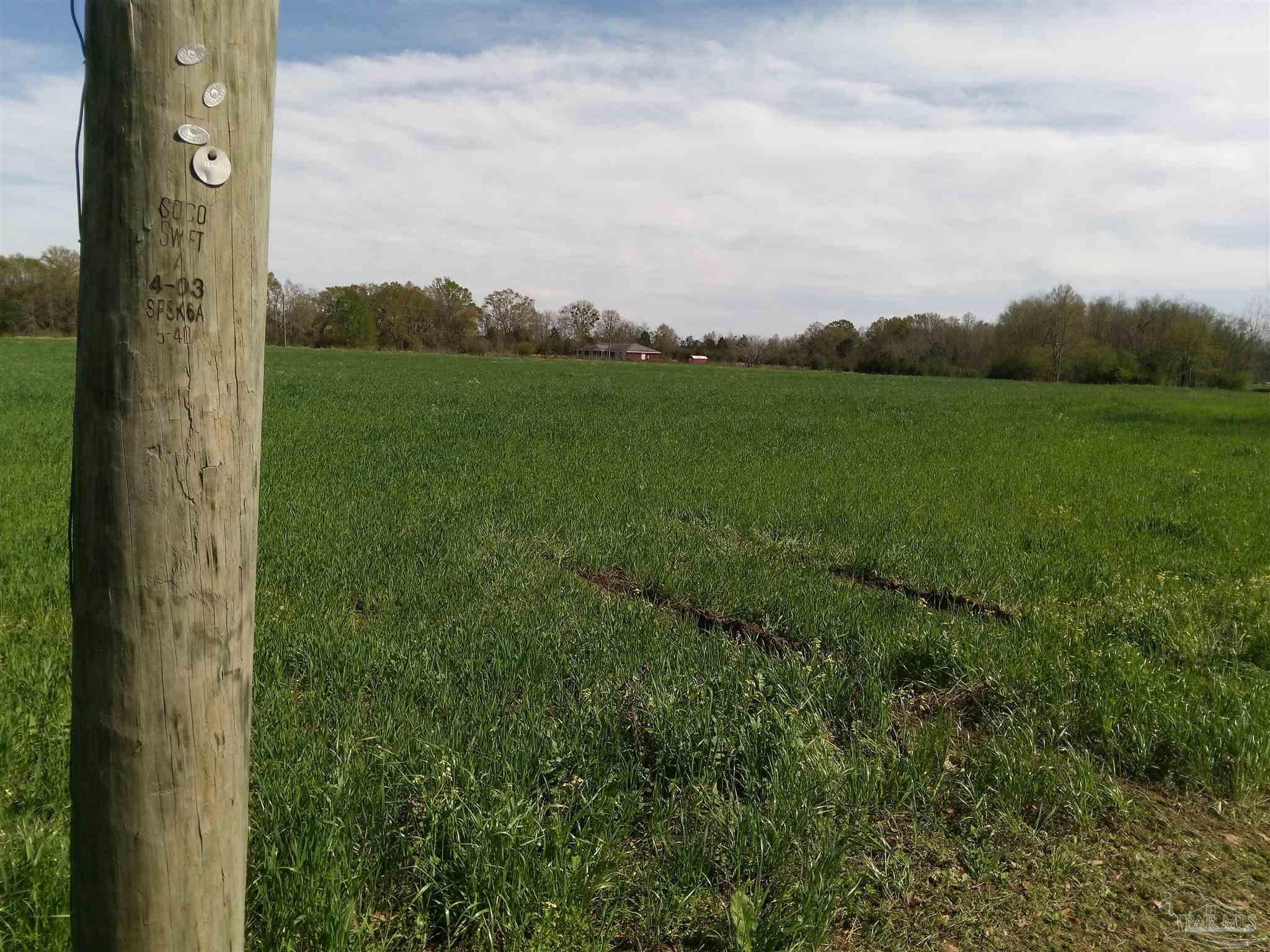 Discover this exceptional opportunity to own land.