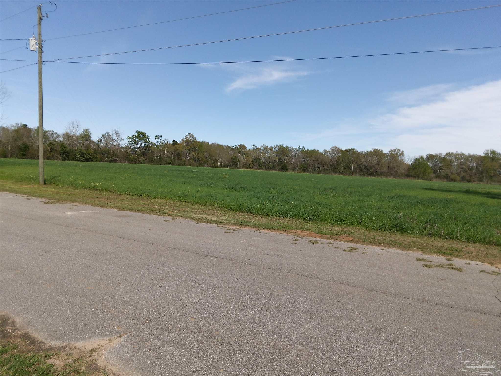 7200 Chestnut Road Molino, FL 32577 - Photo 2 of 9 384.75x220x120x599.62x616.62x819.62