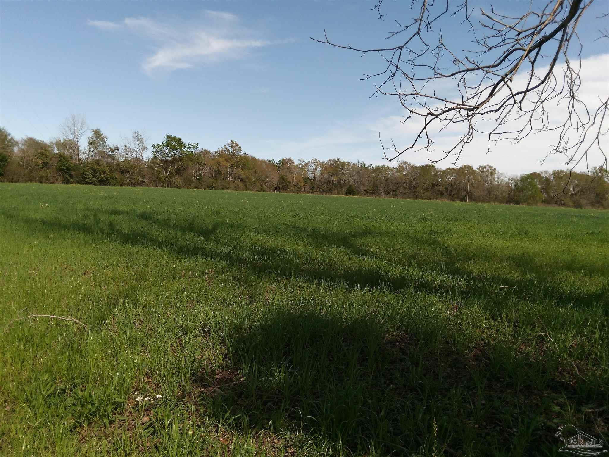 7200 Chestnut Road Molino, FL 32577 - Photo 4 of 9 Make this pristine property yours.