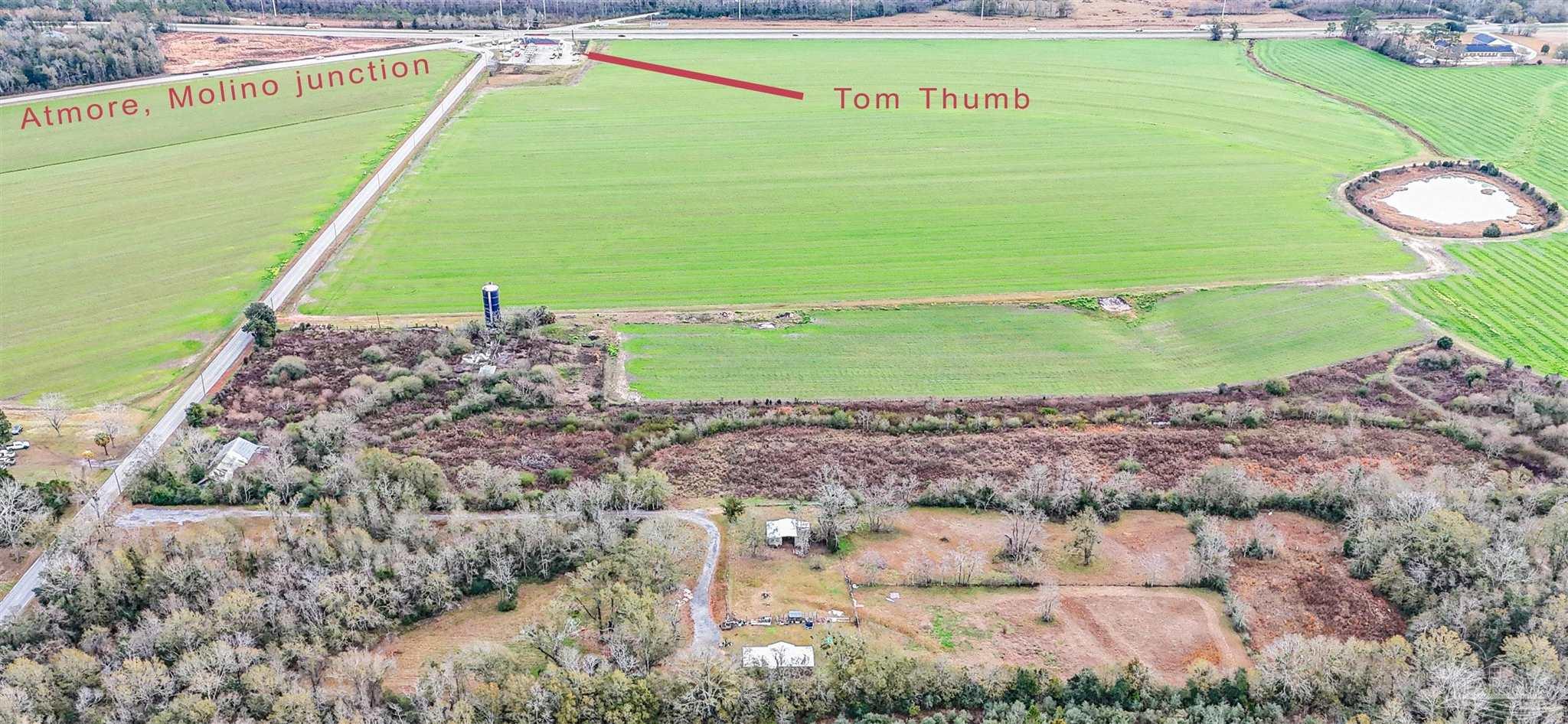 7200 Chestnut Road Molino, FL 32577 - Photo 5 of 9