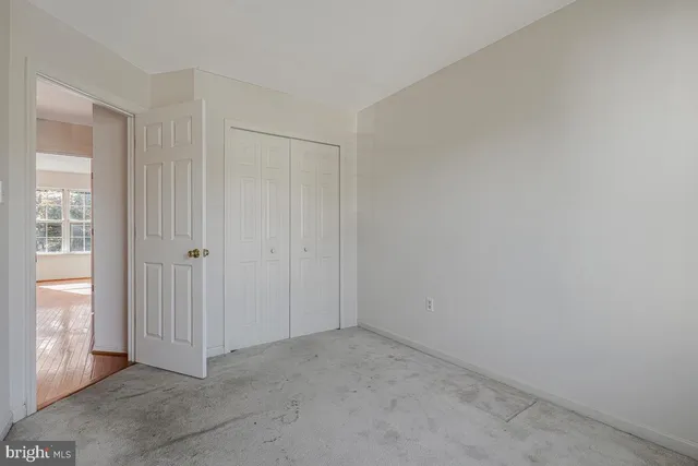 a view of a backyard with plants