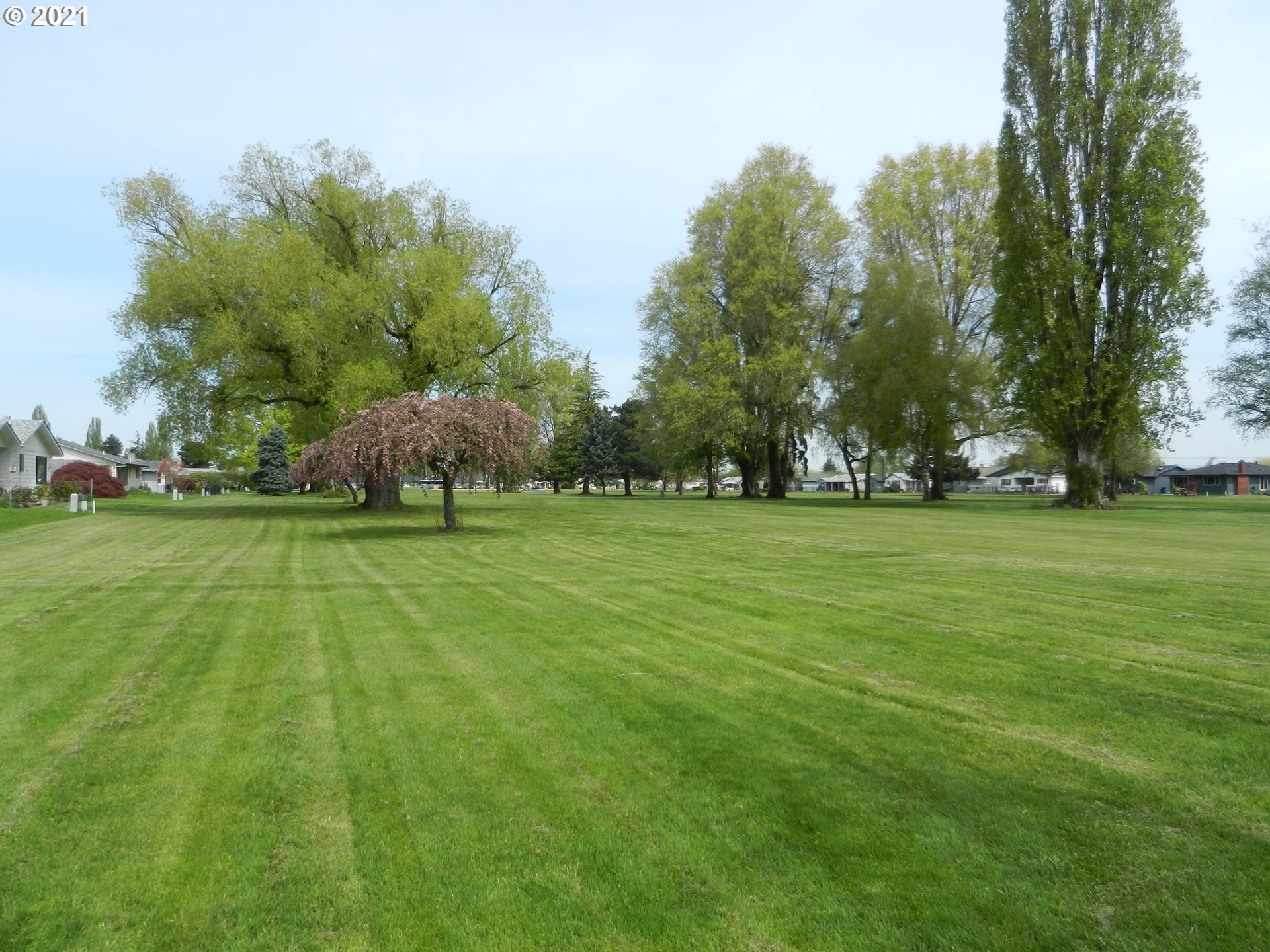 1136 Randolph Road Woodburn, OR 97071 - Photo 12 of 12 Gallery Image 12