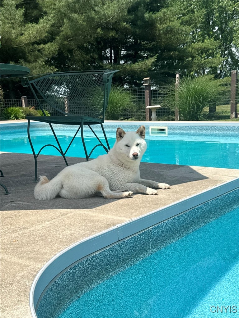 134 Sincerbeaux Road Groton, NY 13073 - Photo 38 of 49 Pool Area