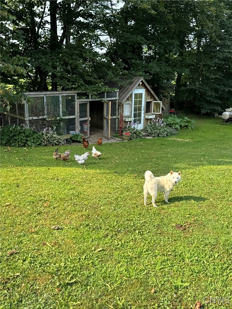 134 Sincerbeaux Road Groton, NY 13073 - Photo 43 of 49 Chicken Coop