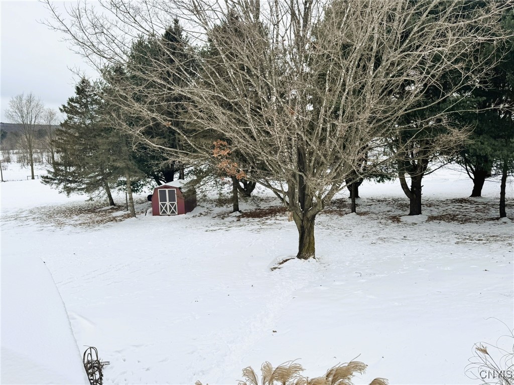 134 Sincerbeaux Road Groton, NY 13073 - Photo 49 of 49 Back Yard