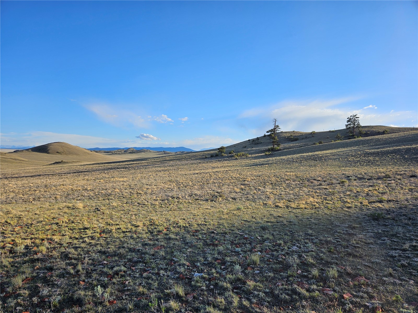 Pcs#24142 Antero Road Hartsel, CO 80449 - Photo 48 of 50