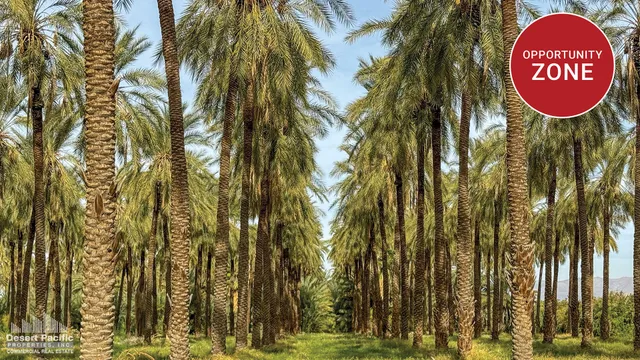 a view of a sign of a palm tree