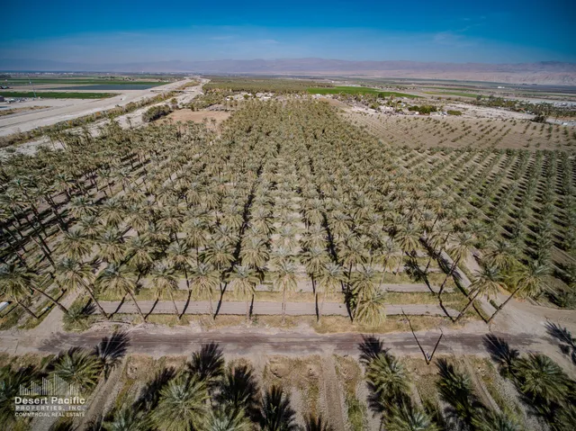 a view of a yard with wooden fence