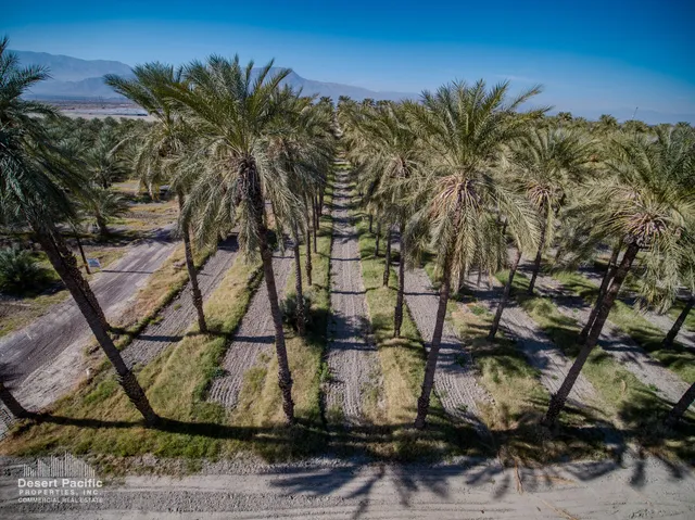 a view of a backyard of the house