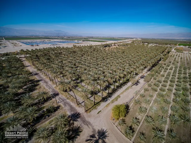 a view of city and ocean