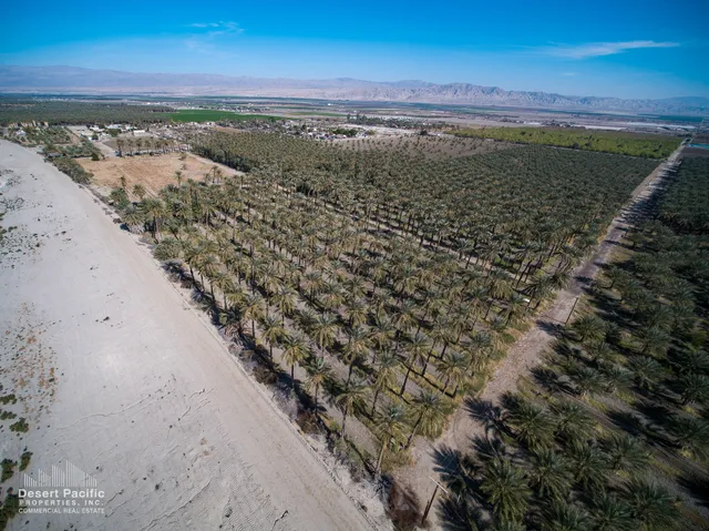 a view of a yard with a house