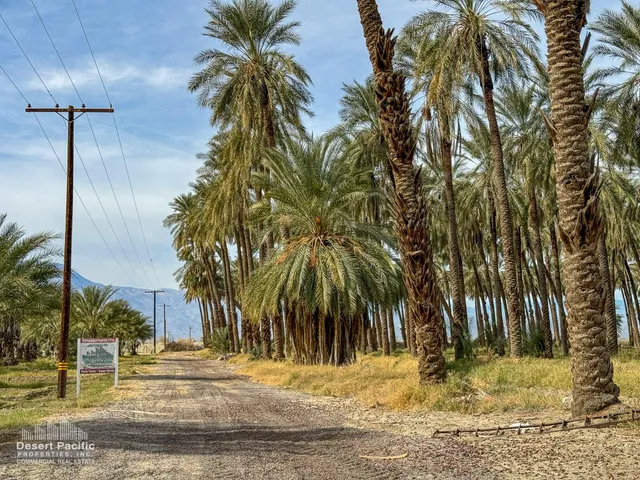 a view of a backyard of a house