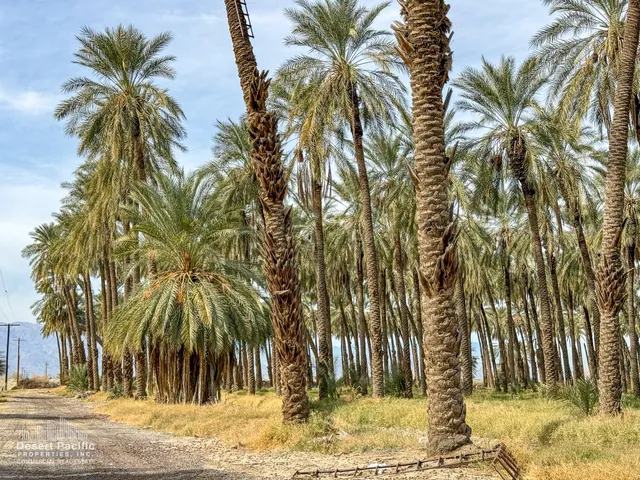 a view of outdoor space with trees