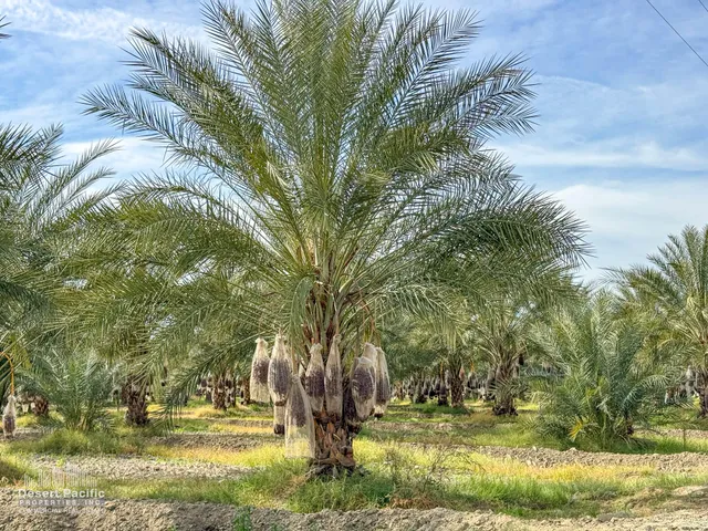 a view of swimming pool with a yard