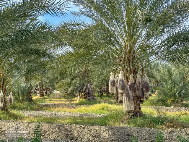 a view of outdoor space with trees