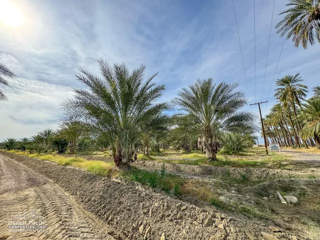 a view of outdoor space with trees