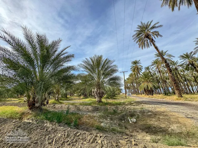 a view of swimming pool with a garden