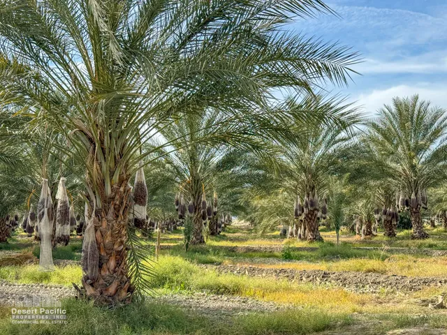 a view of a yard with swimming pool