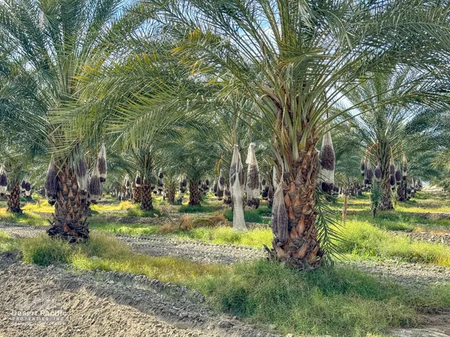 a view of outdoor space with and trees