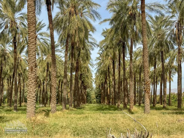 a view of a yard with a house